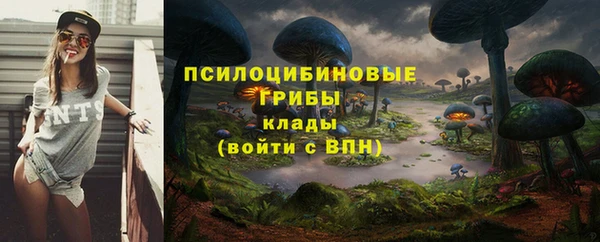 бошки Балахна