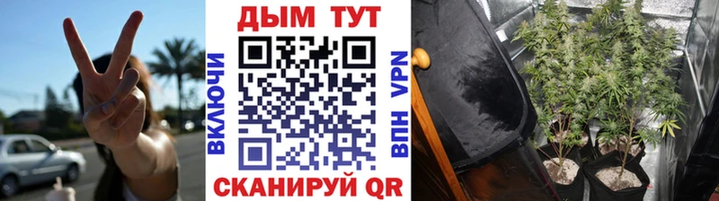 Бошки марихуана THC 21% купить MEGA зеркало Тара